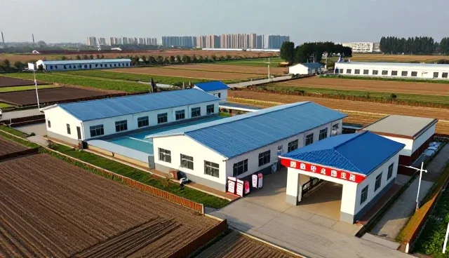 门诊服务中常见医疗技术问题及应对策略